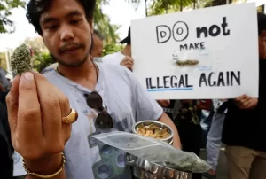 cannabis update in thailand